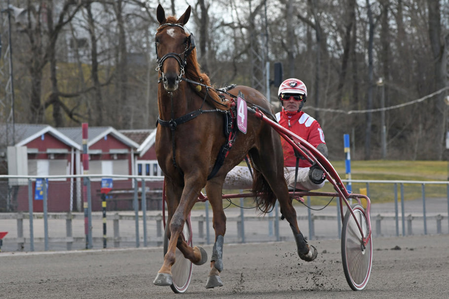 8 - Havbergs Classic.jpg