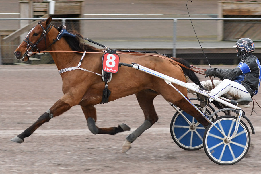 3 - Tyson Dimanche.jpg