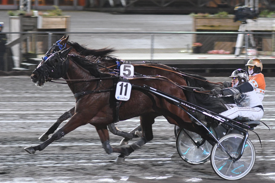 Lopp 5 - Runner Brodde.jpg