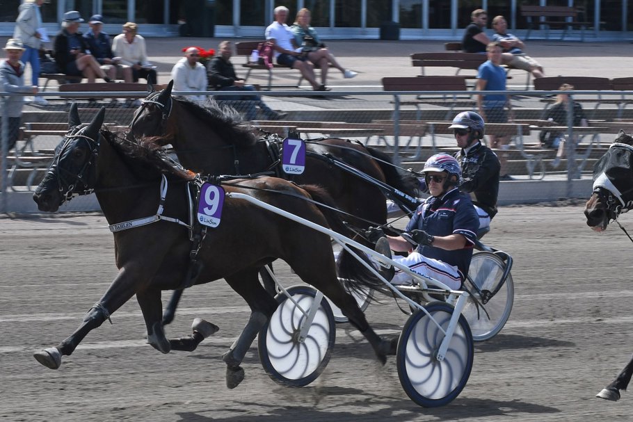 8 - Camilla Ral.jpg