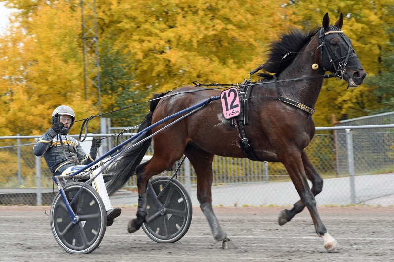 10-marcel-p.jpg