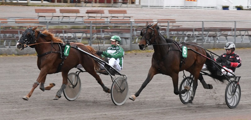 4-cavidendron.jpg