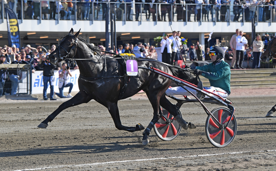 Dancer Brodde mål 114 (1).jpg