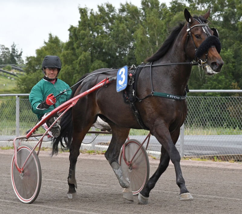 2-gaagaa-rivner (1).jpg