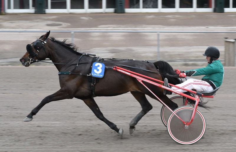 2-gaagaa-rivner.jpg