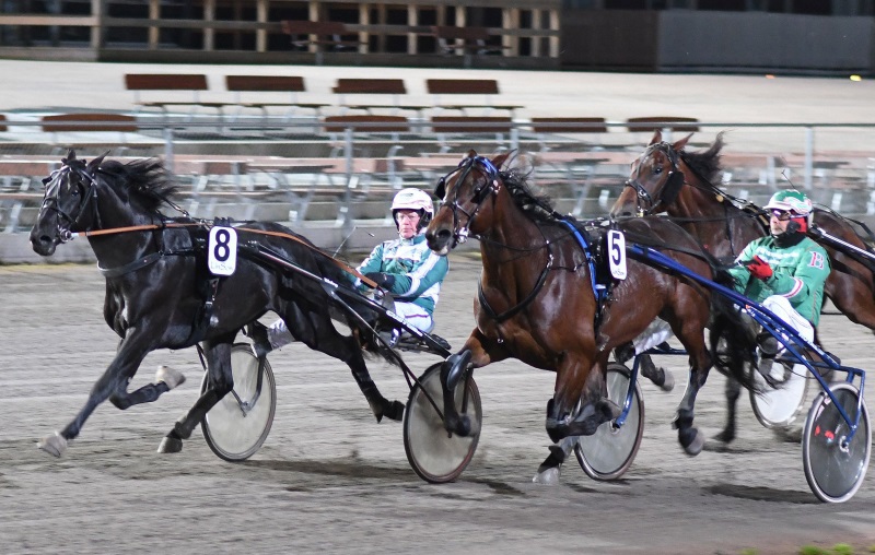 5-henri-sisu.jpg