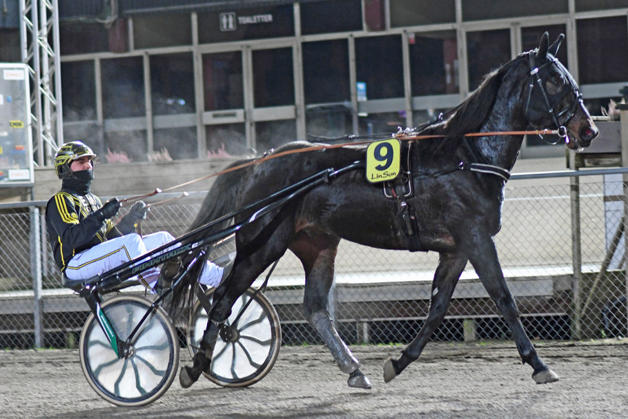1 Le Piment DSC_7470.jpg