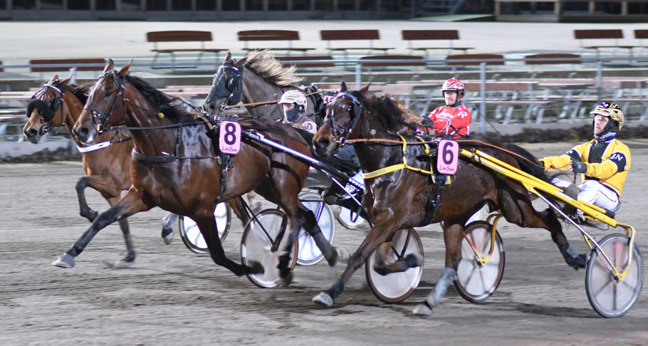 10 Rado S.W. DSC_7386.jpg