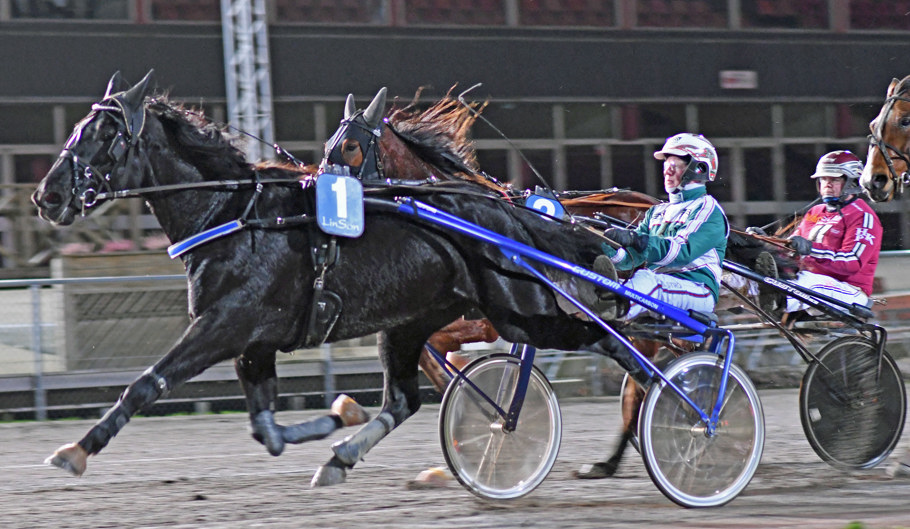 2 Easy Cash Pirat DSC_7152.jpg