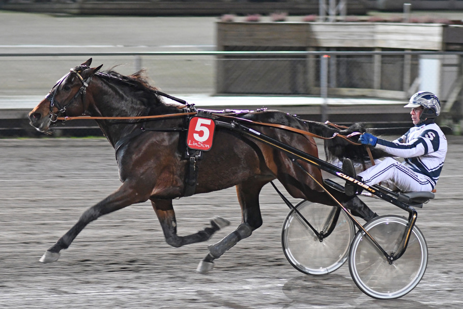 3 Pre Calculated DSC_7519.jpg