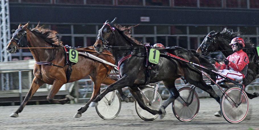 9 Fortune Mearas DSC_7350.jpg