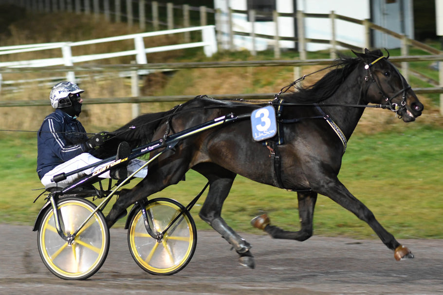 2 - Oche Trot.jpg