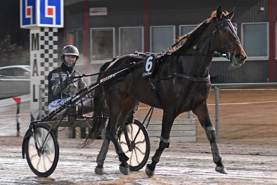 6 - Åsanna Starline.jpg