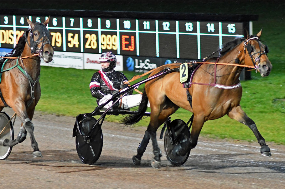 9- Racing Ribb.jpg
