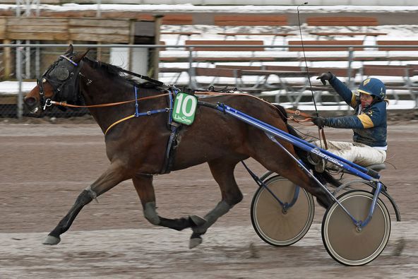 Linn Strandqvist.jpg