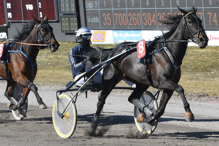 3 - oche trot.jpg
