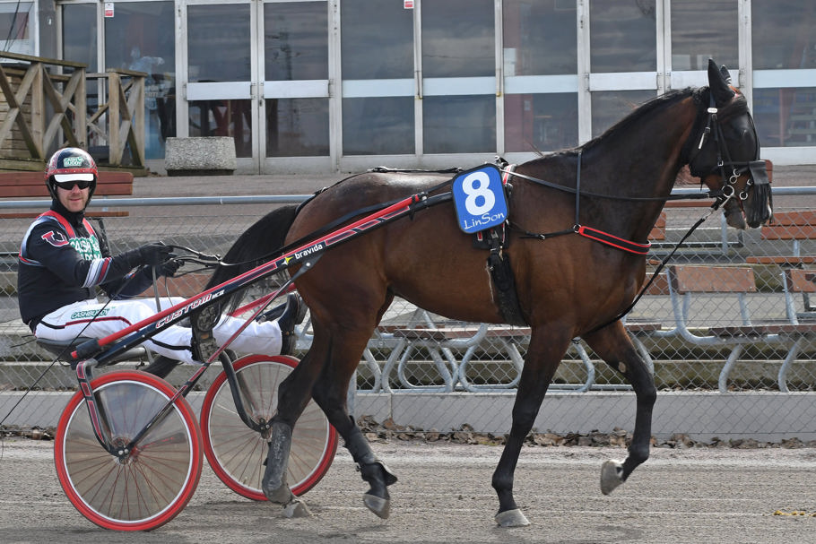 2 - Nashy Håleryd.jpg