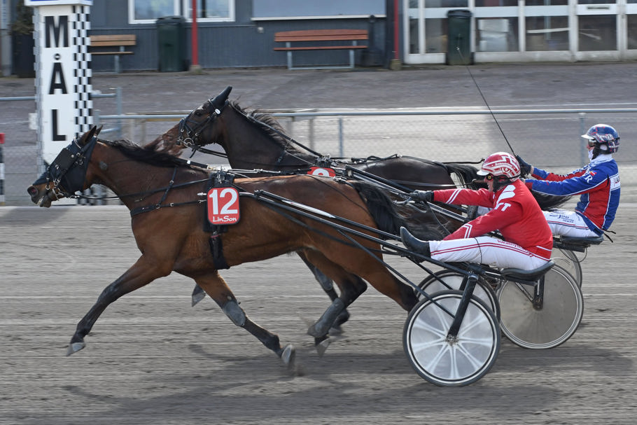 3- Leica Håleryd.jpg