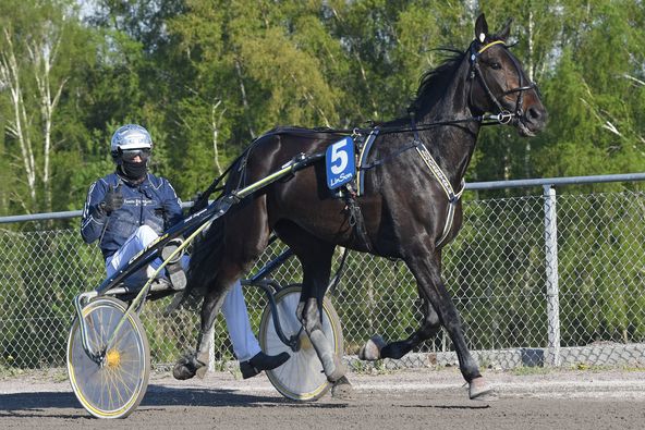 2 - oche trot.jpg
