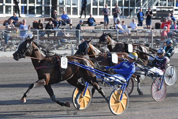 5 - betting pacer.jpg