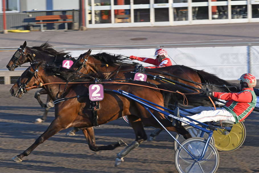 8 Toto Barosso DSC_5761.jpg