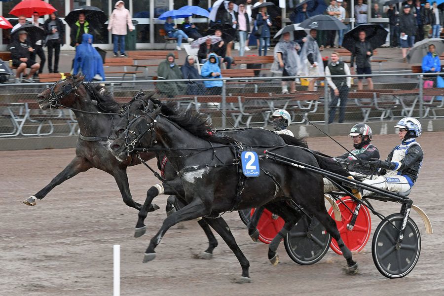 2 - aetos kronos.jpg