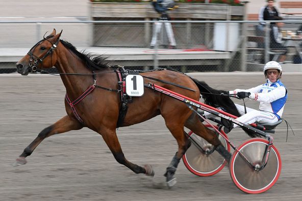 5 - kron vici star.jpg