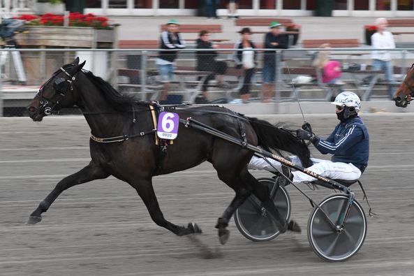 8 - oche trot.jpg