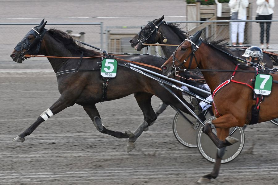 4 - fighter simoni.jpg