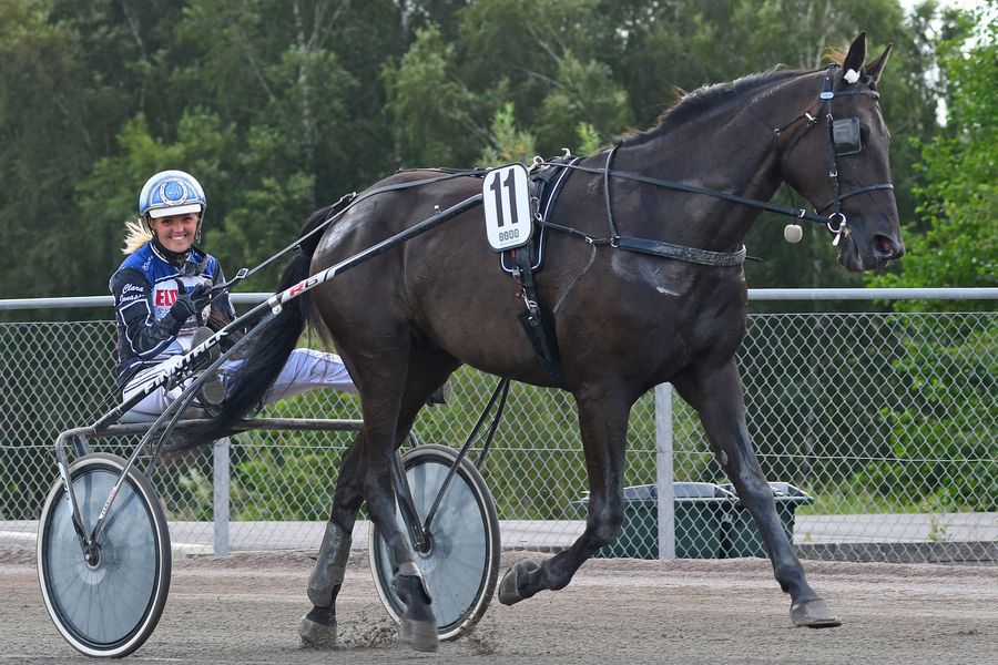 5 - elegant ås.jpg