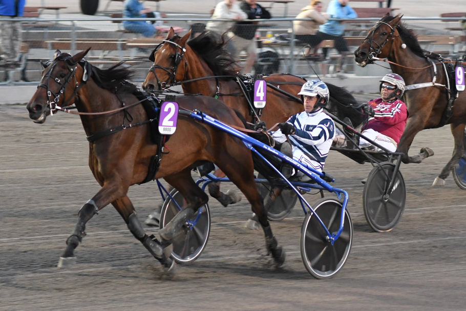 8 - Nikita Vrijthout.jpg