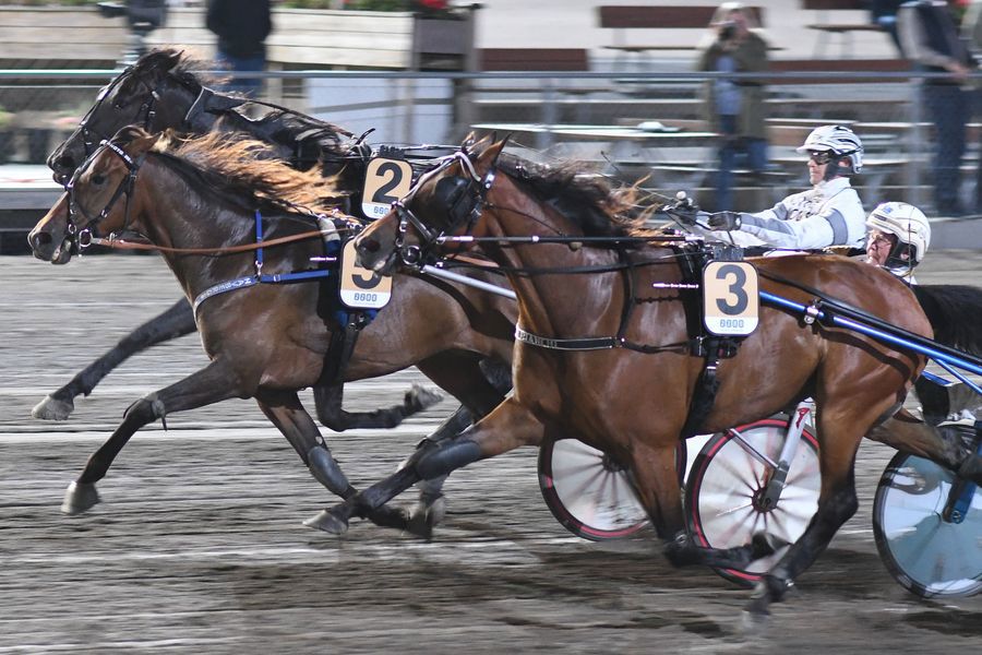 7 - havbergs photo.jpg