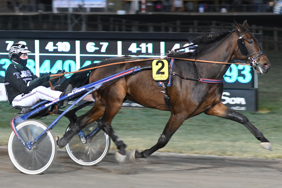 1 - T.Wall´s Kastor DSC_2221.jpg
