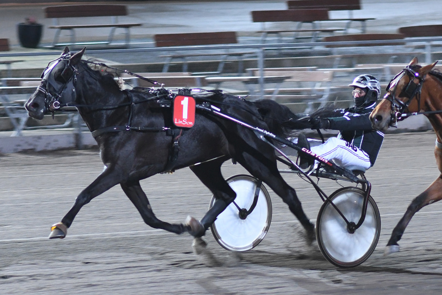 3 - Chiana R.D. DSC_2260.jpg