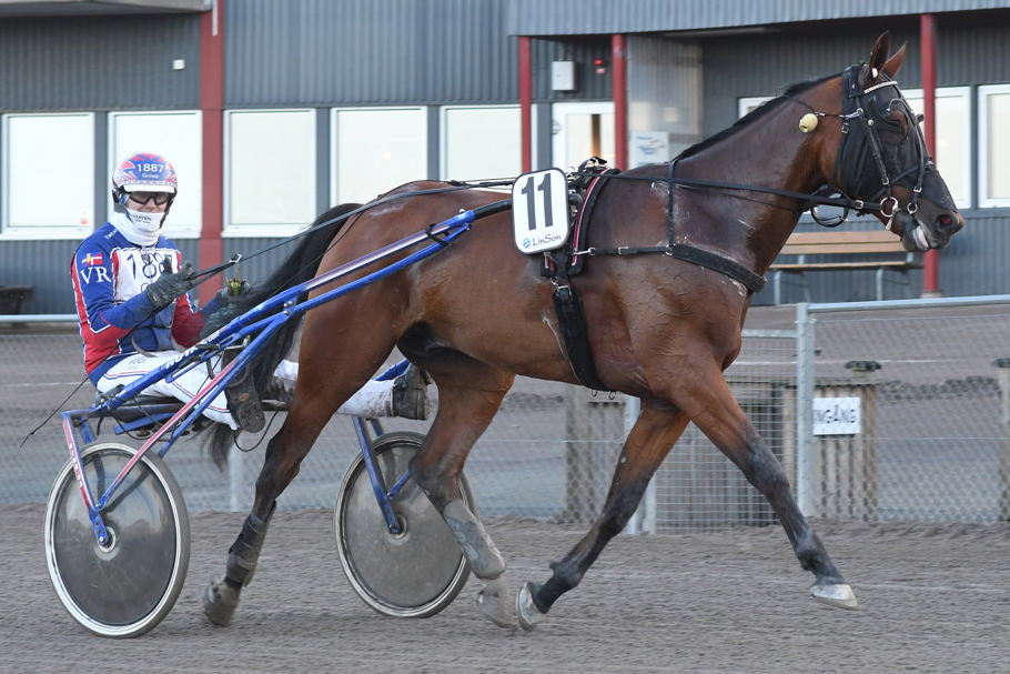 5  - Fönix Vang.jpg
