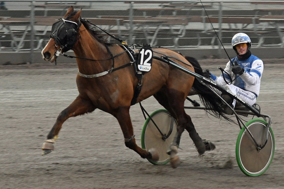 6 - Hercule de Sajan.jpg