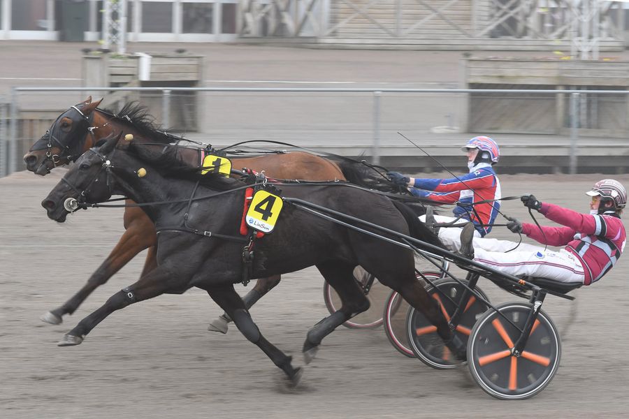 1 - fönix vang.jpg