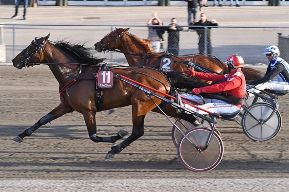 12 - winner brodde.jpg