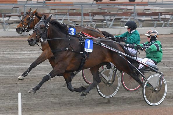 2 - cissi af solnäs.jpg