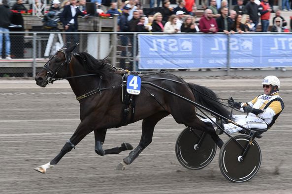 2-Önas Prince.jpg
