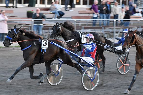 5 - pam trot.jpg