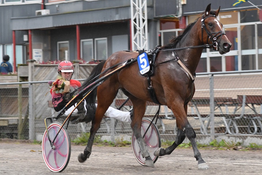 2 - Milles Tobin.jpg