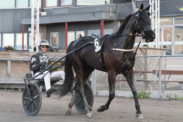 6 - wingait henke.jpg