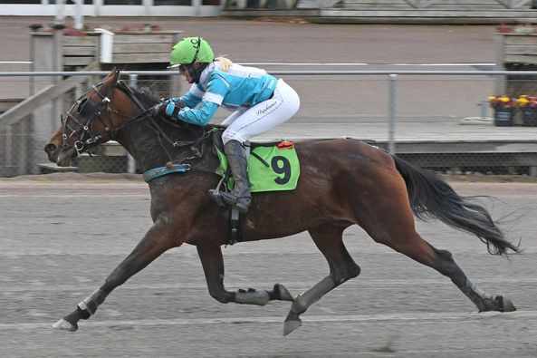 1 - Majah Winner.jpg