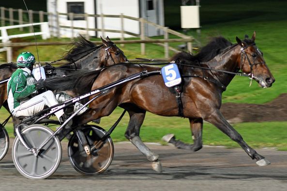 2 - Dubbio Amletico.jpg