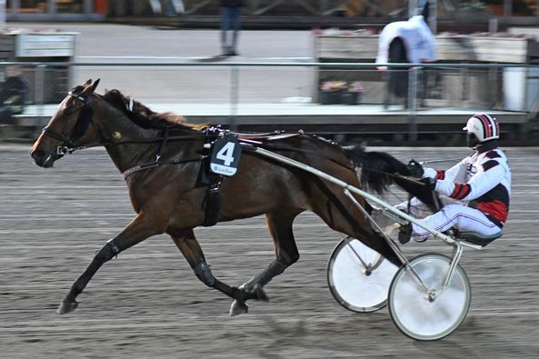 6 - Duchesse WF.jpg
