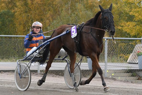8 - Bon Et Mixte.jpg