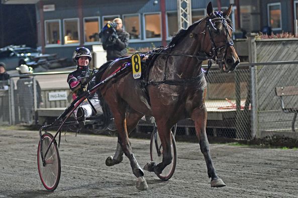 1 - Fönix Vang.jpg