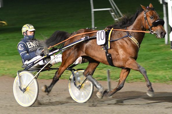 5 - Frankie Godiva.jpg