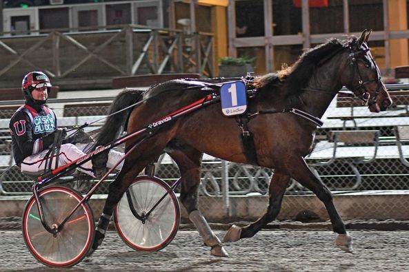 2 - Eleonora SH.jpg